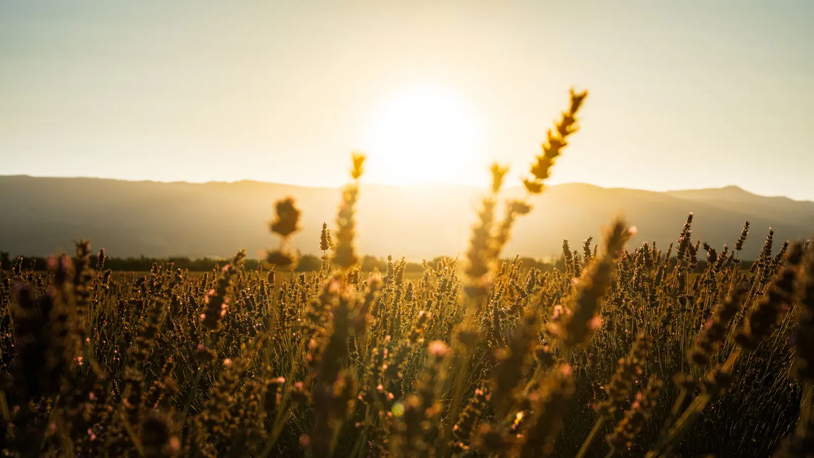 Lever de soleil sur un paysage provençal
