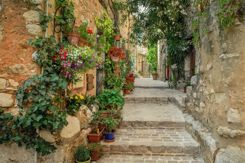 Chemin de pierre bordé de végétation en Provence